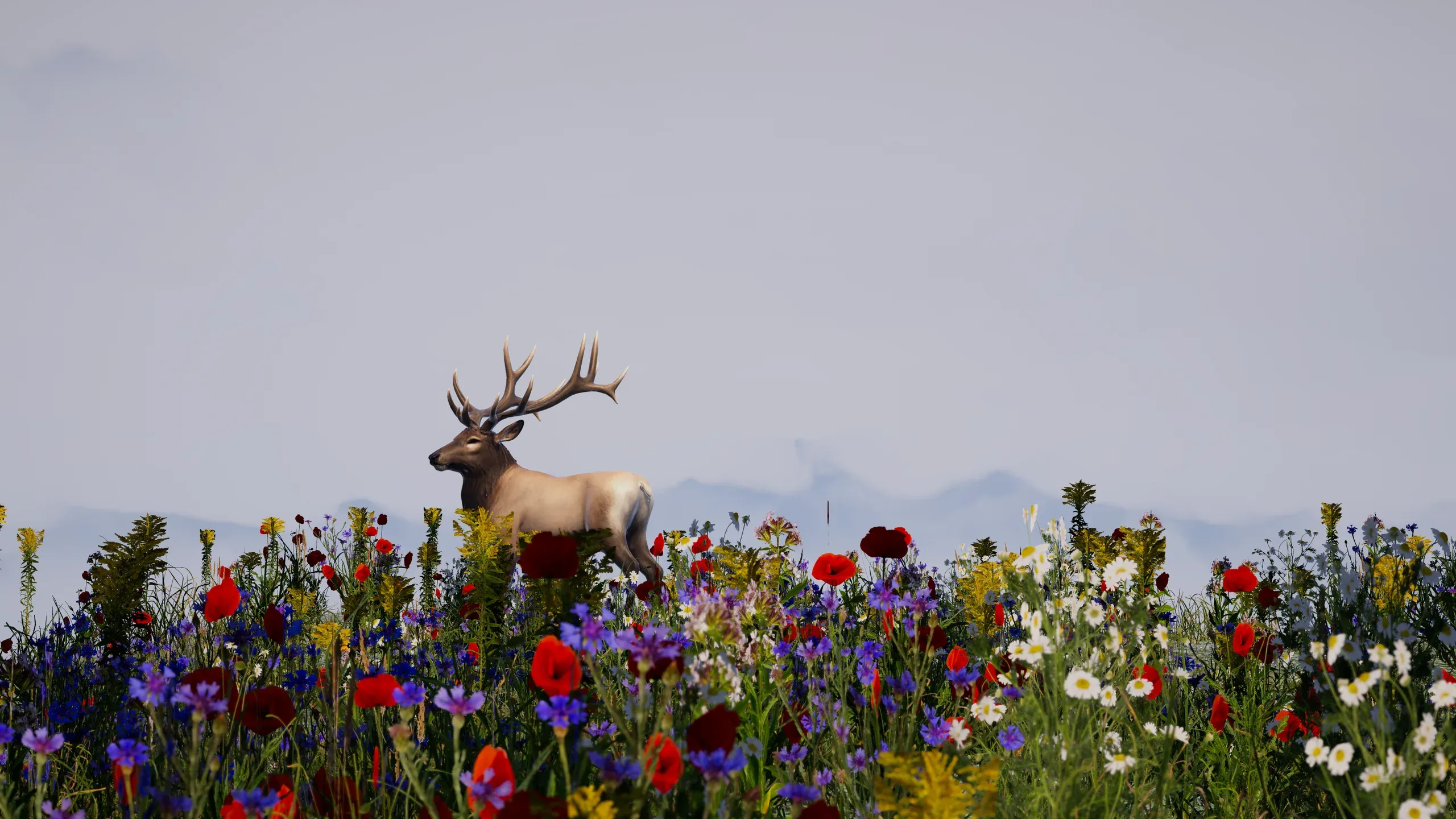 A stag standing in a meadow of red, blue and white wildflowers.