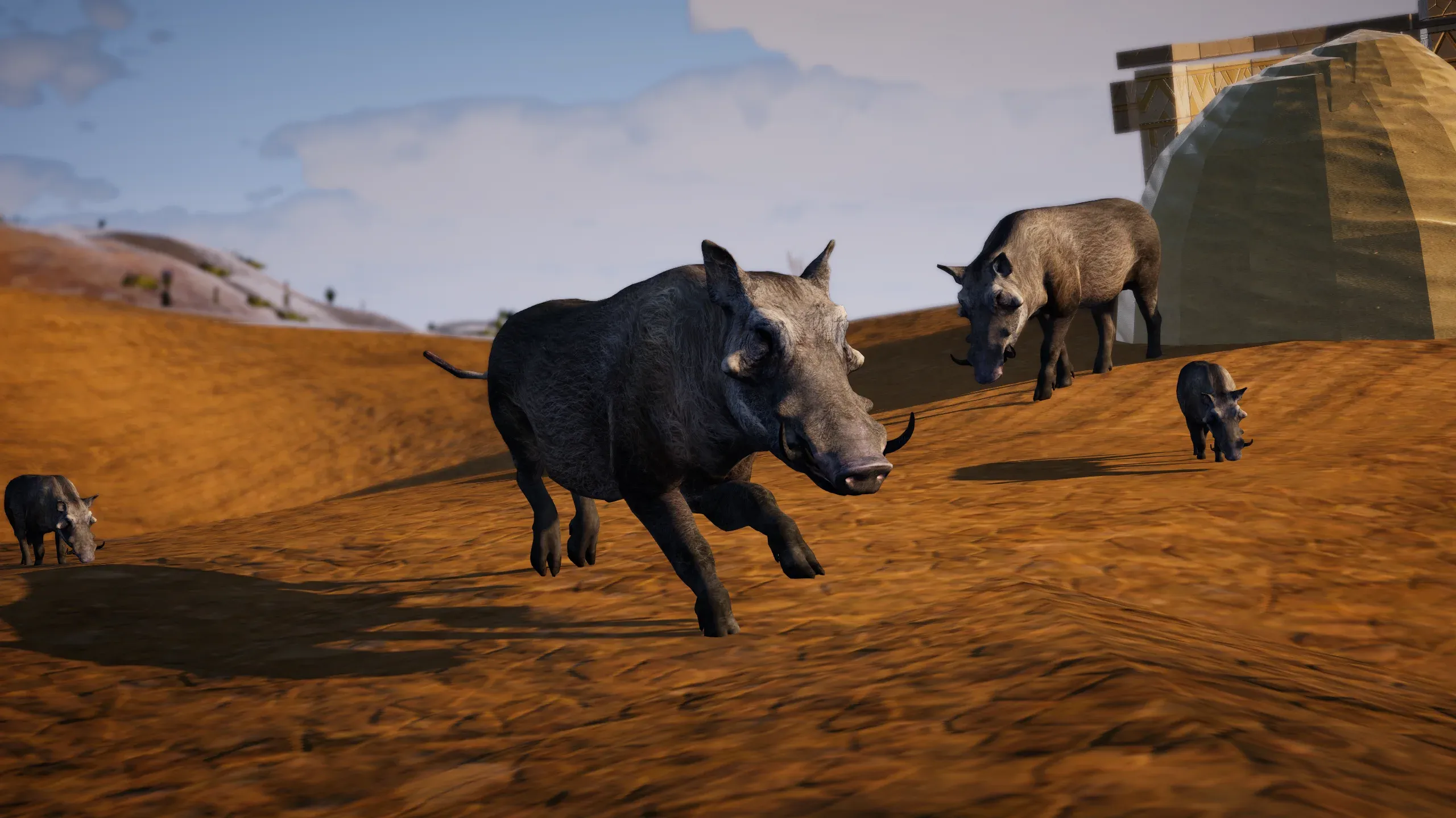 Warthogs running across an orange plain near a round hut.